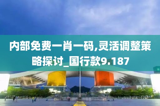 内部免费一肖一码,灵活调整策略探讨_国行款9.187