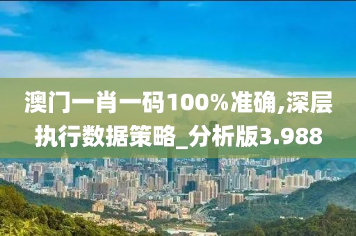 澳门一肖一码100%准确,深层执行数据策略_分析版3.988