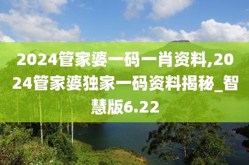 2024管家婆一码一肖资料,2024管家婆独家一码资料揭秘_智慧版6.22