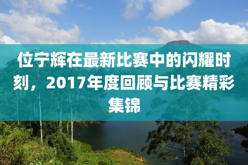 位宁辉在最新比赛中的闪耀时刻，2017年度回顾与比赛精彩集锦