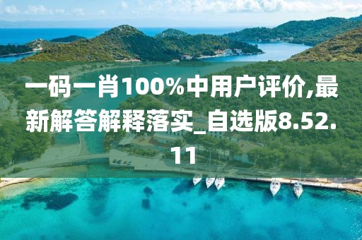 一码一肖100%中用户评价,最新解答解释落实_自选版8.52.11