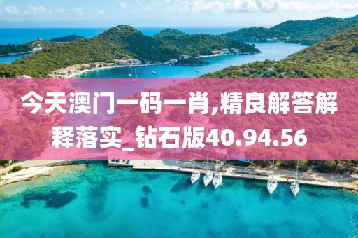 今天澳门一码一肖,精良解答解释落实_钻石版40.94.56