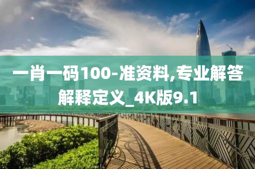 一肖一码100-准资料,专业解答解释定义_4K版9.1