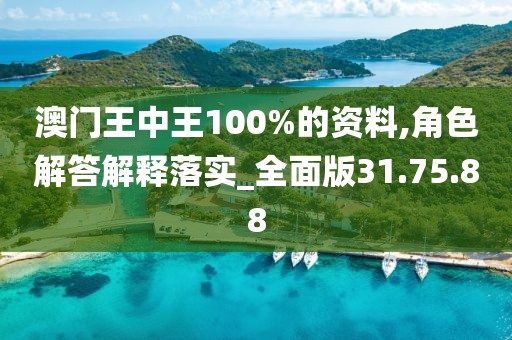 澳门王中王100%的资料,角色解答解释落实_全面版31.75.88