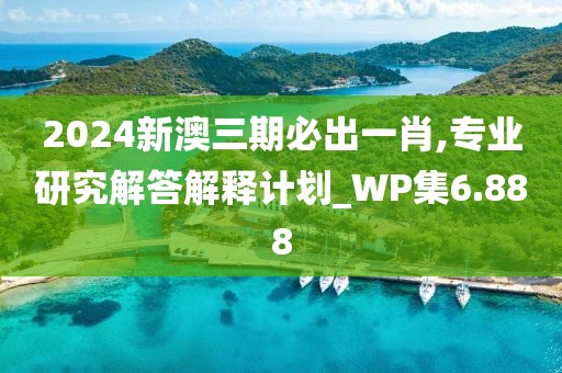 2024新澳三期必出一肖,专业研究解答解释计划_WP集6.888