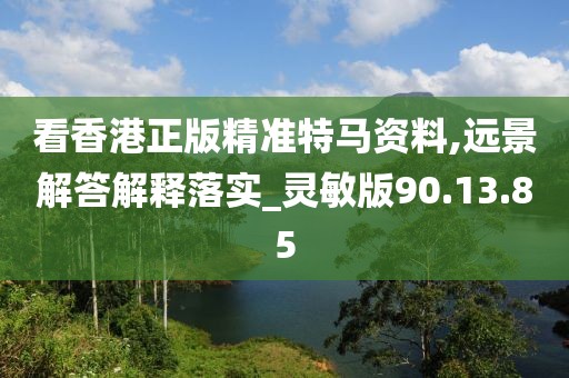 看香港正版精准特马资料,远景解答解释落实_灵敏版90.13.85