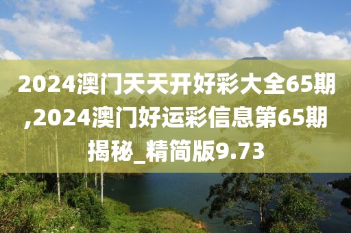 2024澳门天天开好彩大全65期,2024澳门好运彩信息第65期揭秘_精简版9.73