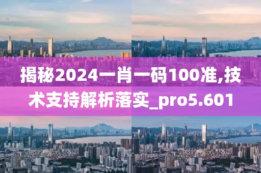 揭秘2024一肖一码100准,技术支持解析落实_pro5.601