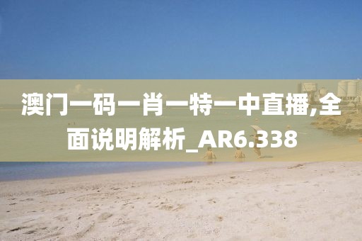 澳门一码一肖一特一中直播,全面说明解析_AR6.338