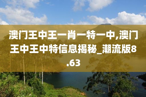 澳门王中王一肖一特一中,澳门王中王中特信息揭秘_潮流版8.63