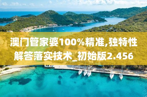 澳门管家婆100%精准,独特性解答落实技术_初始版2.456