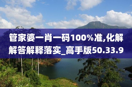 管家婆一肖一码100%准,化解解答解释落实_高手版50.33.90