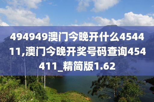 494949澳门今晚开什么454411,澳门今晚开奖号码查询454411_精简版1.62