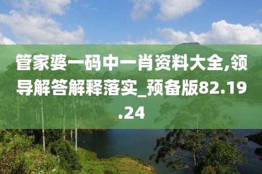 管家婆一码中一肖资料大全,领导解答解释落实_预备版82.19.24