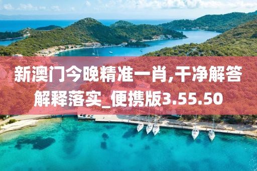 新澳门今晚精准一肖,干净解答解释落实_便携版3.55.50