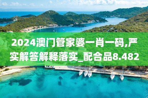 2024澳门管家婆一肖一码,严实解答解释落实_配合品8.482