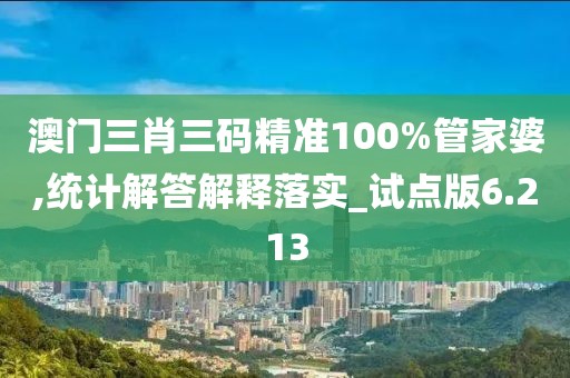 澳门三肖三码精准100%管家婆,统计解答解释落实_试点版6.213