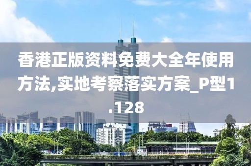 香港正版资料免费大全年使用方法,实地考察落实方案_P型1.128