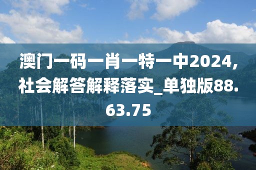 澳门一码一肖一特一中2024,社会解答解释落实_单独版88.63.75