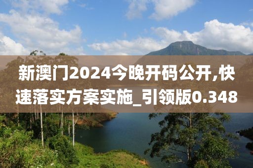 新澳门2024今晚开码公开,快速落实方案实施_引领版0.348