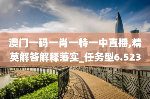 澳门一码一肖一特一中直播,精英解答解释落实_任务型6.523