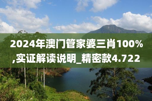 2024年澳门管家婆三肖100%,实证解读说明_精密款4.722