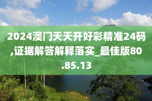 2024澳门天天开好彩精准24码,证据解答解释落实_最佳版80.85.13