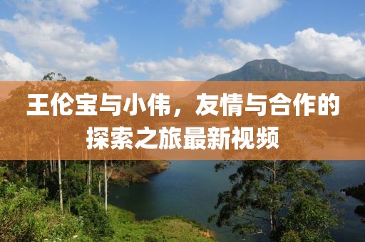 王伦宝与小伟，友情与合作的探索之旅最新视频