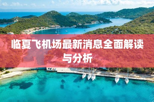 临夏飞机场最新消息全面解读与分析