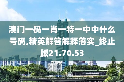 澳门一码一肖一特一中中什么号码,精英解答解释落实_终止版21.70.53