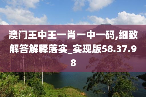 澳门王中王一肖一中一码,细致解答解释落实_实现版58.37.98