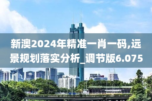 新澳2024年精准一肖一码,远景规划落实分析_调节版6.075