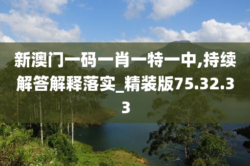 新澳门一码一肖一特一中,持续解答解释落实_精装版75.32.33