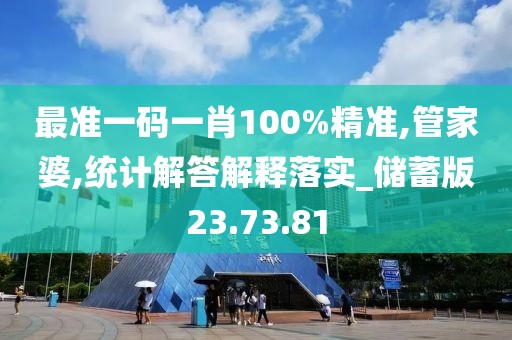 最准一码一肖100%精准,管家婆,统计解答解释落实_储蓄版23.73.81