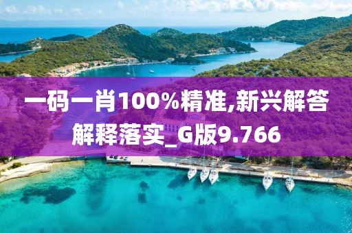 一码一肖100%精准,新兴解答解释落实_G版9.766