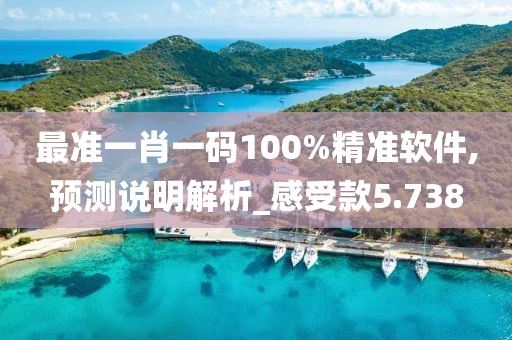 最准一肖一码100%精准软件,预测说明解析_感受款5.738