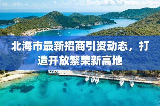 北海市最新招商引资动态，打造开放繁荣新高地