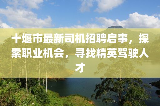 十堰市最新司机招聘启事，探索职业机会，寻找精英驾驶人才