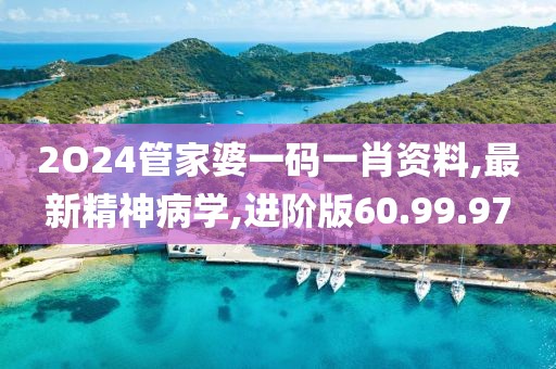 2O24管家婆一码一肖资料,最新精神病学,进阶版60.99.97