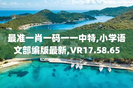 最准一肖一码一一中特,小学语文部编版最新,VR17.58.65