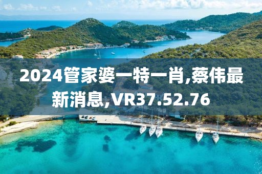 2024管家婆一特一肖,蔡伟最新消息,VR37.52.76