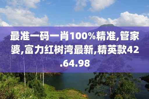 最准一码一肖100%精准,管家婆,富力红树湾最新,精英款42.64.98