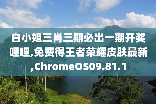 白小姐三肖三期必出一期开奖哩哩,免费得王者荣耀皮肤最新,ChromeOS09.81.1