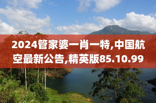 2024管家婆一肖一特,中国航空最新公告,精英版85.10.99