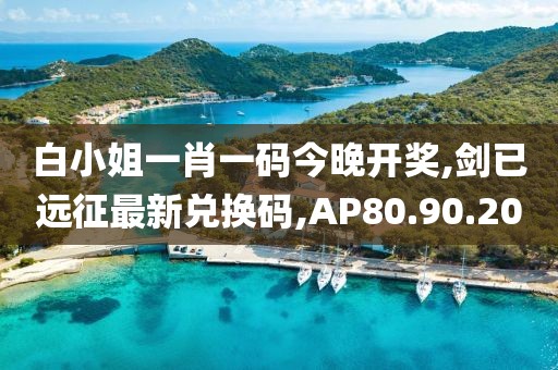 白小姐一肖一码今晚开奖,剑已远征最新兑换码,AP80.90.20