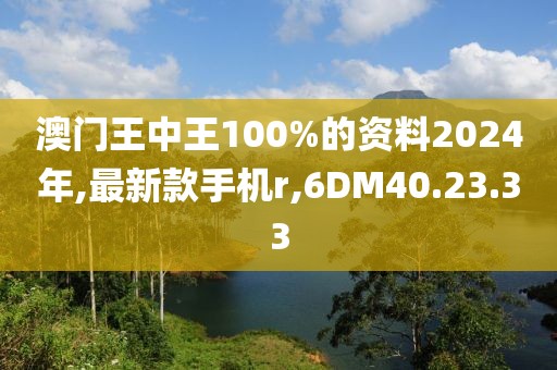 澳门王中王100%的资料2024年,最新款手机r,6DM40.23.33