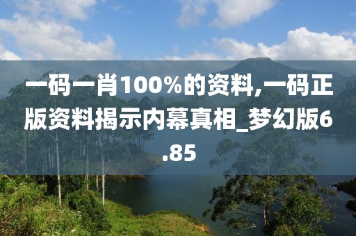 一码一肖100%的资料,一码正版资料揭示内幕真相_梦幻版6.85