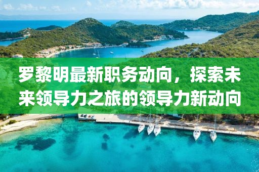 罗黎明最新职务动向，探索未来领导力之旅的领导力新动向