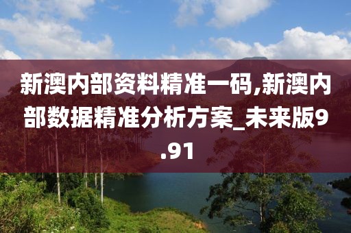 新澳内部资料精准一码,新澳内部数据精准分析方案_未来版9.91