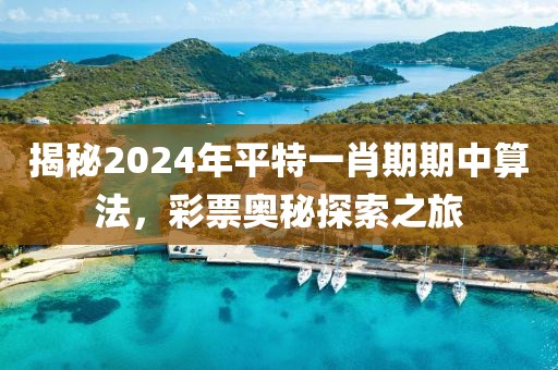 揭秘2024年平特一肖期期中算法，彩票奥秘探索之旅